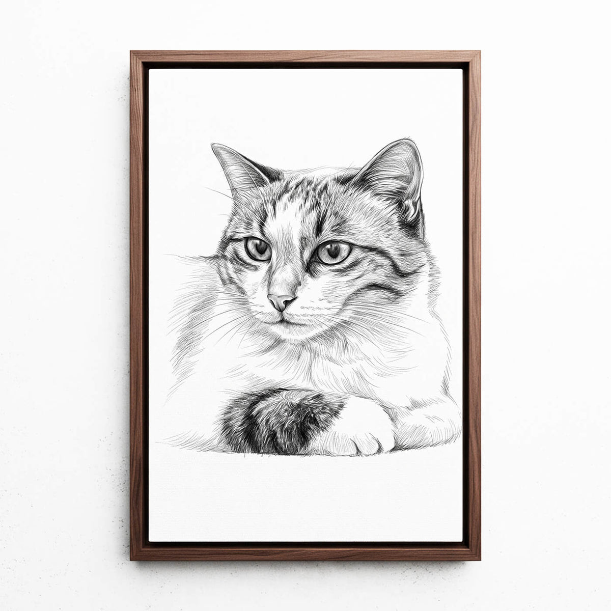 Portrait de chat en style crayon d'après ta photo - toile avec cadre noyer