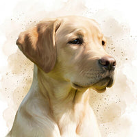 Animaux à l’aquarelle