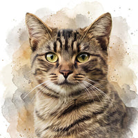 Chats à l’aquarelle